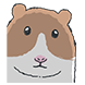 짜글햄