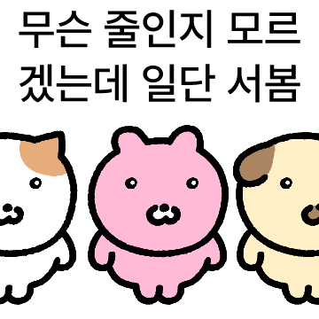 생각? 그런 거 없는데요