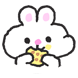 토깽씨