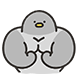 GYM둘기