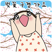봄봄요하요하