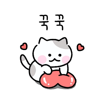 집냥이 용희의 하루