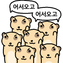모지리 미어캣