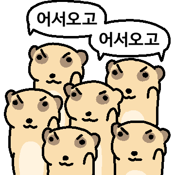 모지리 미어캣