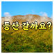 40대의 취미생활