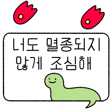 펑!할때 쓰는 꾸밈 톡