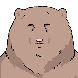 은은한 곰