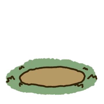 쿼쿼카카 꿍카
