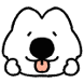 왕코