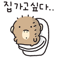 레츠 대학생 오랑둥이