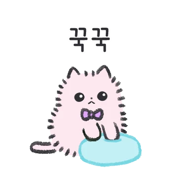 시크한 냥이 보풀이