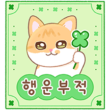 ‘애기’는 행운뿜뿜 럭키냥!