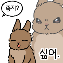 토끼의 오늘 기분