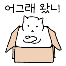 찹쌀 고앵이애옹