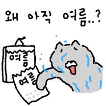 병약고양이의 여름나기