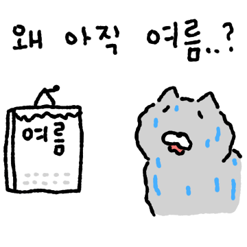 병약고양이의 여름나기
