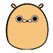 연필티콘