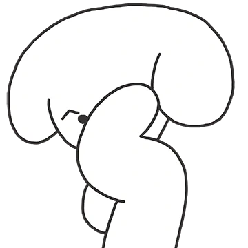 보통개