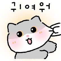 눈 큰 회색고양이 애옹