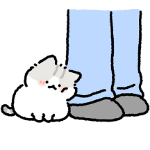 뚱땅뚱땅 고등어 솜털냥이