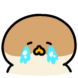 참새짹