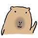 캬피바라