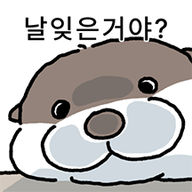 수달 확대 2