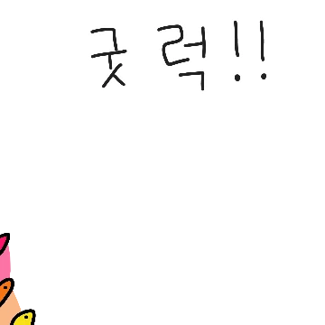 무지개 물고기떼