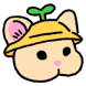 앙지