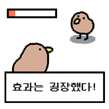 키위새 키우기 Lv.1