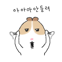 초코귀니피그