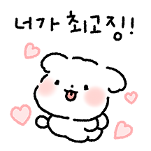 귀여운 말티쮸는 참치않즤! 2