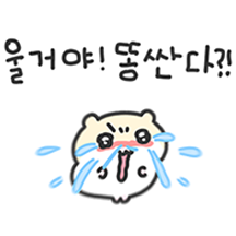 호락호락하지 않은 햄스터 13
