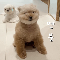이모티콘 프리뷰