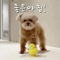 이모티콘 프리뷰