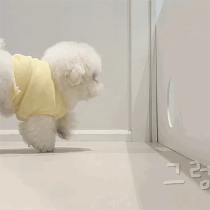 이모티콘 프리뷰