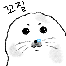 꾸물꾸물 물범 보물이