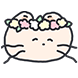 봄냥이