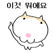 왕대굴냥이