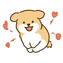 좋아해! 강아지 김망고