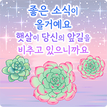 탱글탱글 수분가득 다육이의 힐링 메시지