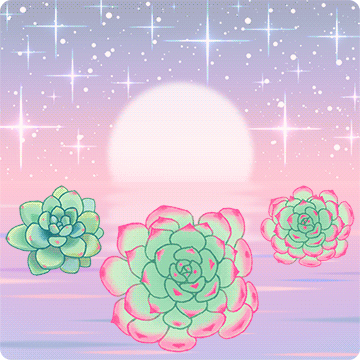 탱글탱글 수분가득 다육이의 힐링 메시지