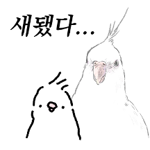 뭇찌 귀여워 앵무칭구들 4