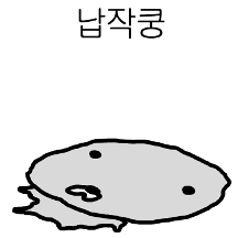 미확인 비행 물개