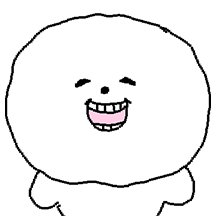 비숑 솜이