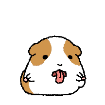 촐싹기니