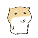 촉촉시바