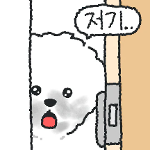 꼬질티즈