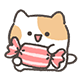 짧뚱냥