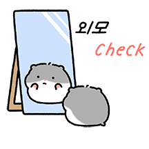 요즘 햄스터